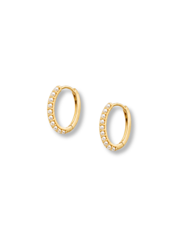 The Kelsey Hoop